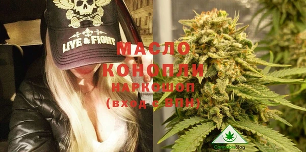 эйфоретик Тайга