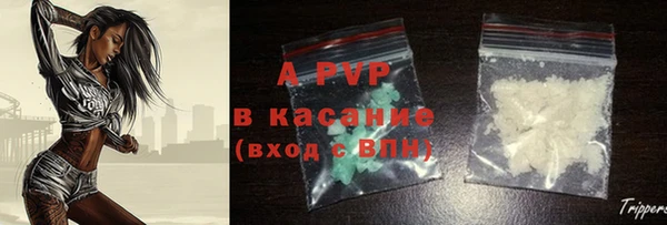 СК Сясьстрой