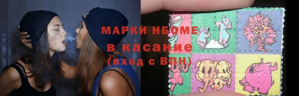 эйфоретик Тайга