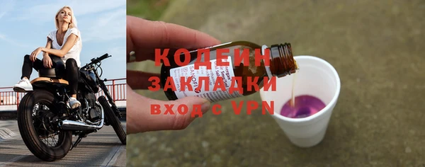эйфоретик Тайга