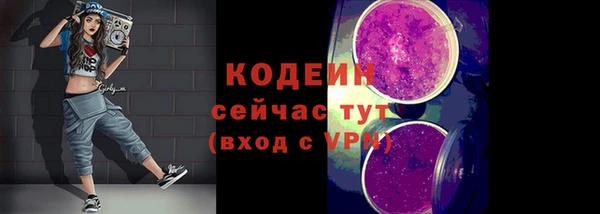 эйфоретик Тайга