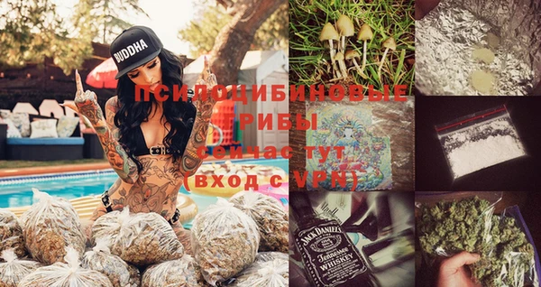 эйфоретик Тайга