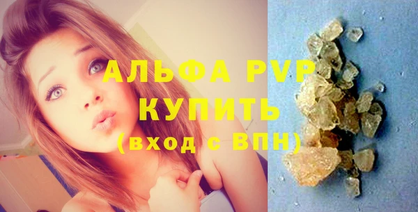 эйфоретик Тайга