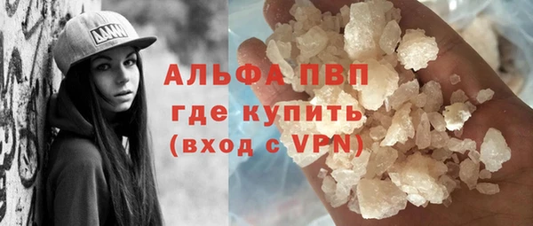 СК Сясьстрой