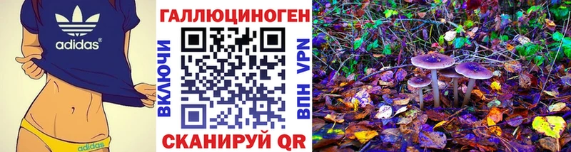 Галлюциногенные грибы GOLDEN TEACHER  mega ссылка  Удачный 